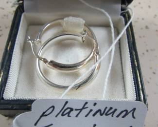 Platinum Earrings