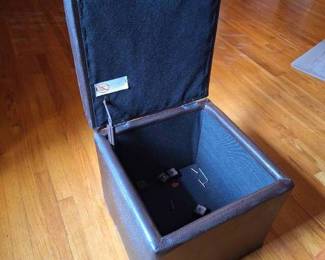 Padded 17" Footrest with Storage