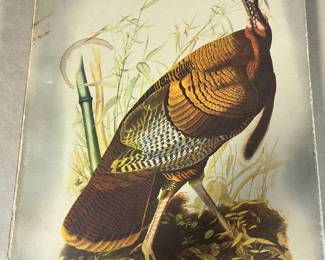 JOHN JAMES AUDUBON BOOK 