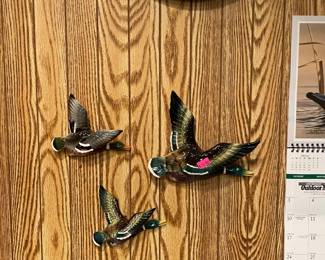 Duck plaques