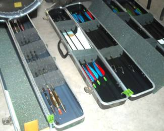 Hunting arrows in fitted camouflage case