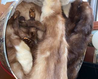 Winter is coming -get your stoles now! Or just some quiet pets that don’t eat much … also potty trained