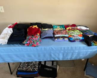 Large variety of ladies size large tee shirts.