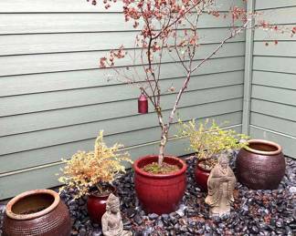Outdoor Ceramic Pots With Plants