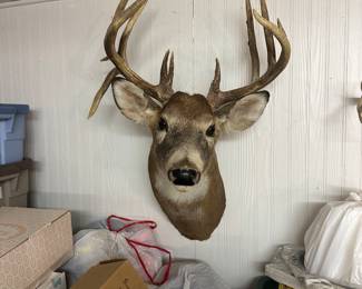 Sorry, this was taken out of sale. We apologize when this happens,  it happened the day we set up.  Very sorry. 