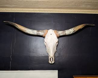 Steer Horns