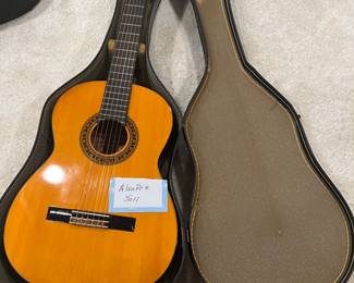 Alvarez guitar 5011 with case
