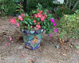 Ceramic Cornflower Pot