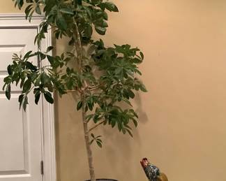 Howling At The Trees