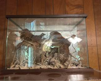 Vintage Mid 20th Century Taxidermy Quail Birds in Glass Display Case