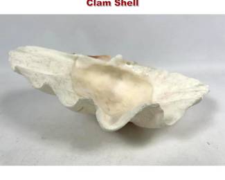 Lot 1909 Medium Size Natural Giant Clam Shell