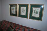 Botanical Prints