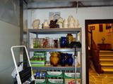 Canning Jars, Light Shades