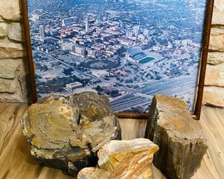 large petrified wood . old ATX photo