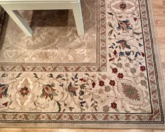 Very nice neutral rug with different shades of Tans, Browns and Reds.