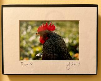 "Rooster" Photograph (5" x 7"), Signed
