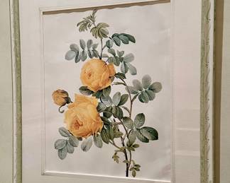 Framed Botanical