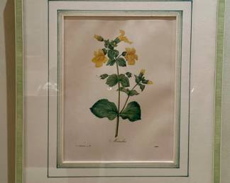 Framed Botanical