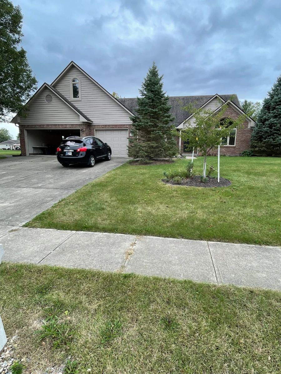 Avon Estate Liquidation House Full of Treasures... starts on 10/13/2023