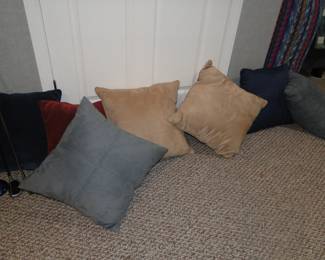 Accent pillows in all the popular colors