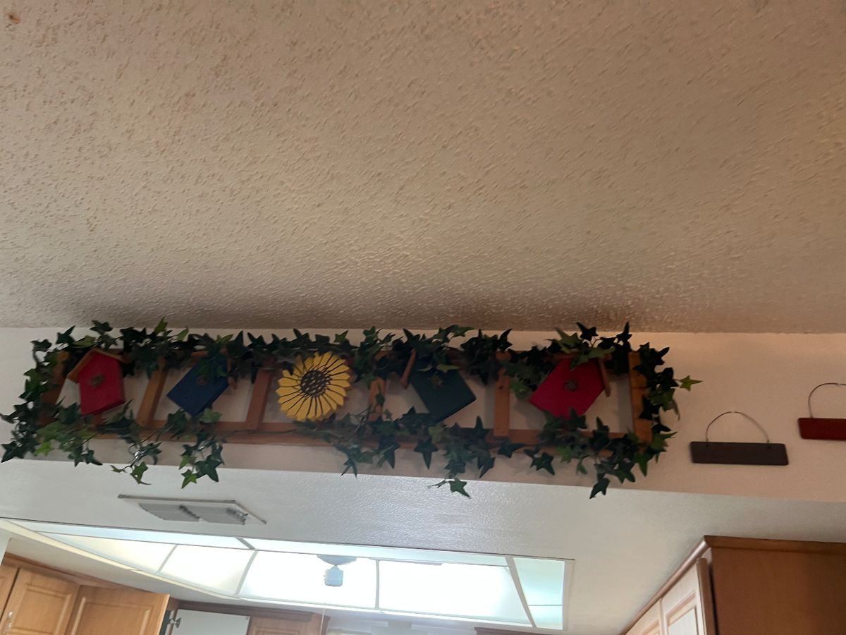 V Patton Estates ZEPHYRHILLS Lots of Great... starts on 10/13/2023