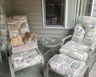 Pair of Cushioned Patio Chairs with Ottomans 