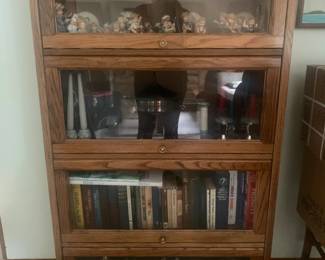Glass front all wood book shelf