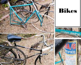 Retro Bicycles: Marcuishi RX-5 and Murray Cruiser (from storage)