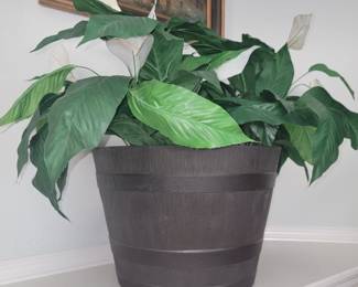 Floral and framed art