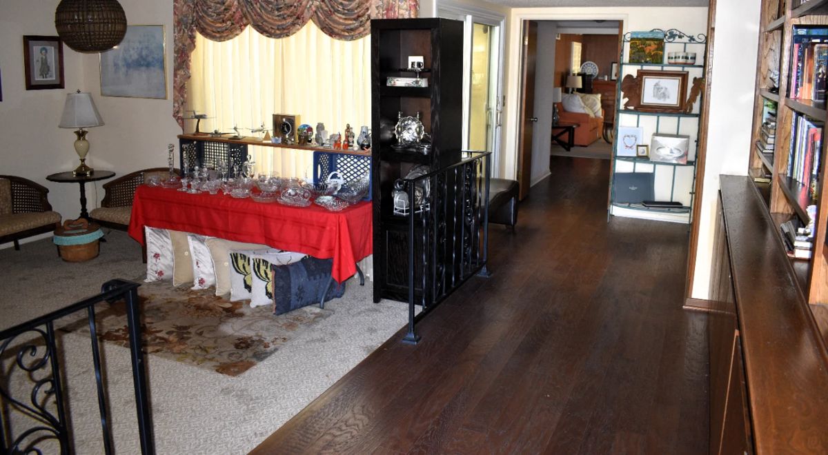 Entry/Living Room Overview