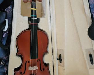 Violin in case