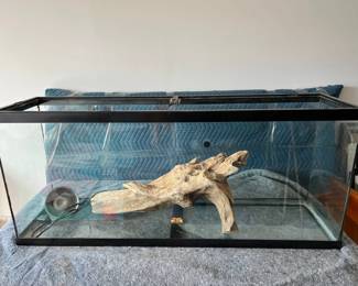 Large Rectangular Glass Terrarium