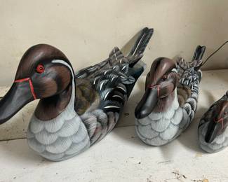 Painted mallards