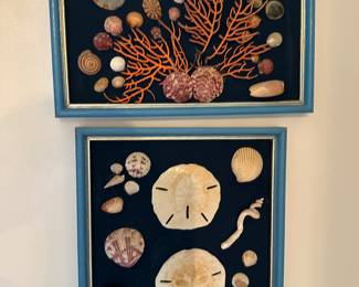 Vintage Seashell Art
