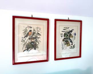Red Framed Bird Prints