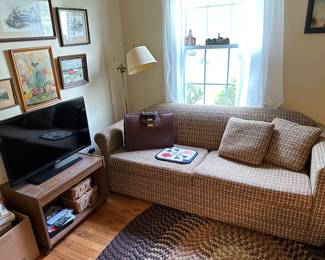 sleep sofa, tv on stand