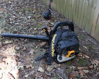 Poulan Pro Leaf Blower