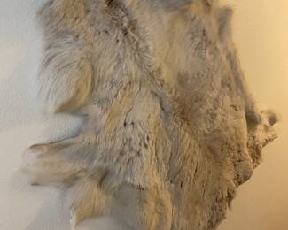 Reindeer hide 