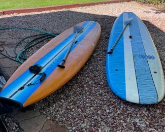 Paddle boards with Paddles