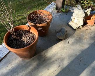 Terra Cotta pots