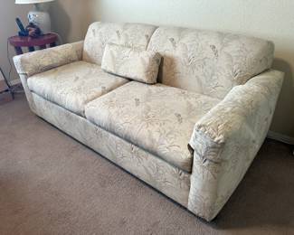 sleeper sofa