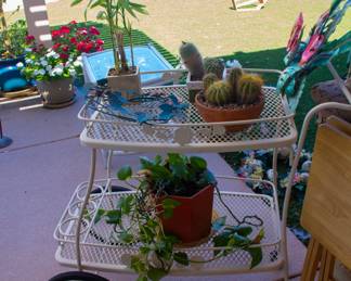Gardening rack with various plants
