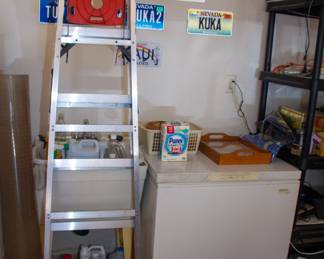 Ladder, and Kirkland freezer 