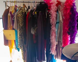 Assortment of costumes 