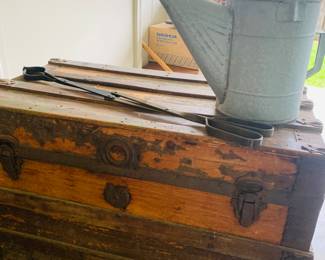 old trunk with early watering can