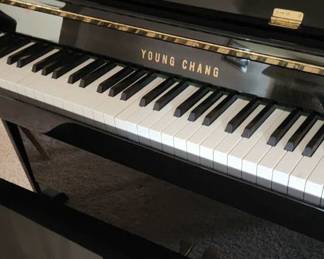 Beautiful Young Chang Ebony Piano