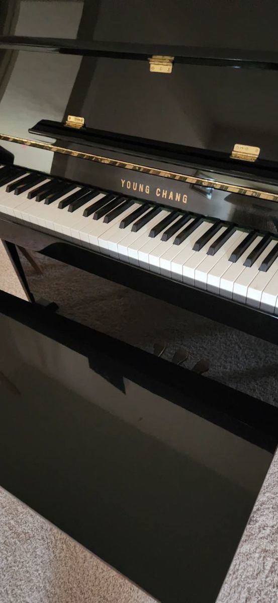 Beautiful Young Chang Ebony Piano