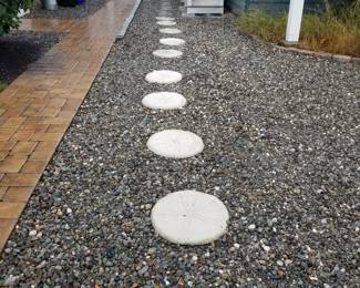 Sand dollar stepping stones
