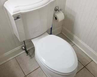 Stylish Kohler commode