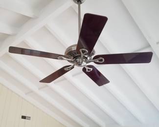 Ceiling fan